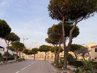 Mallorca-Spanien-Frankreich-25-0568