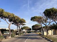 Mallorca-Spanien-Frankreich-25-0570