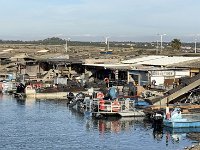 Mallorca-Spanien-Frankreich-25-0580