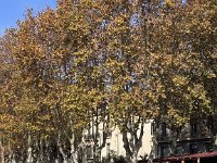 Mallorca-Spanien-Frankreich-25-0600