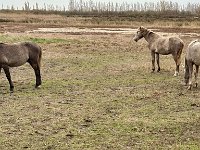 Mallorca-Spanien-Frankreich-25-0691