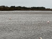 Mallorca-Spanien-Frankreich-25-0699