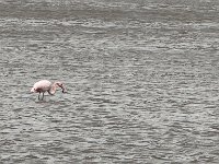 Mallorca-Spanien-Frankreich-25-0701