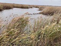 Mallorca-Spanien-Frankreich-25-0711