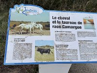 Mallorca-Spanien-Frankreich-25-0755