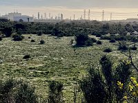 Mallorca-Spanien-Frankreich-25-0762