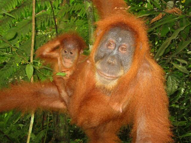 Mama und Baby in Groaufnahme