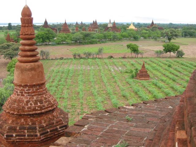 Die Stupas von Bagan (insgesamt 2273)