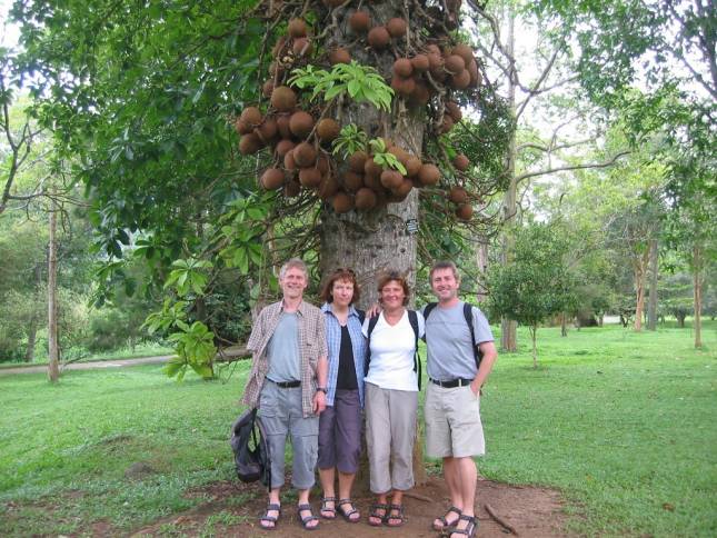 Im Botanischen Garten von Peradeniya