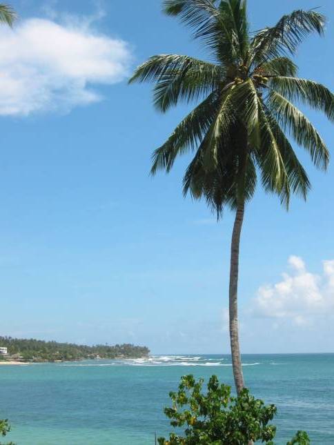 <i>Am Strand in Unawatuna</i>