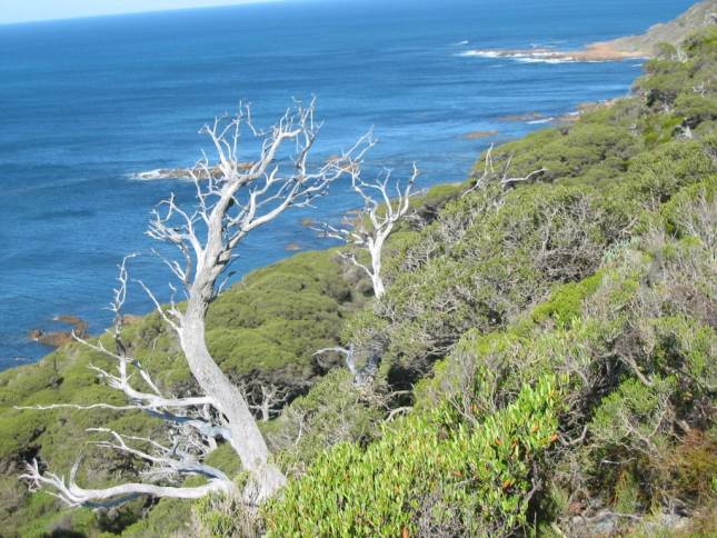 <i><b>Cape Naturaliste</b></i>