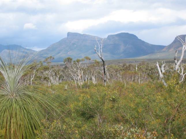 <i><b>In der Stirling Ranges</b></i>