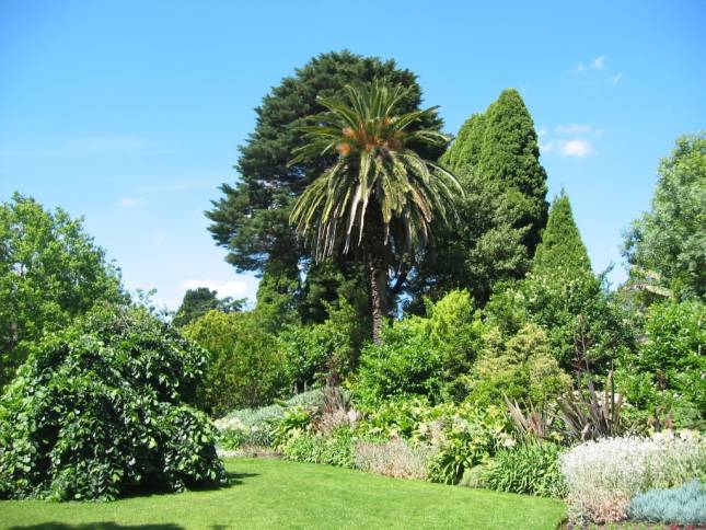 <i>Im botanischen Garten</i>