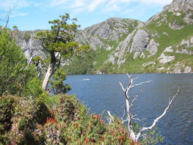 <i>Cradle Mountain Wanderung</i>