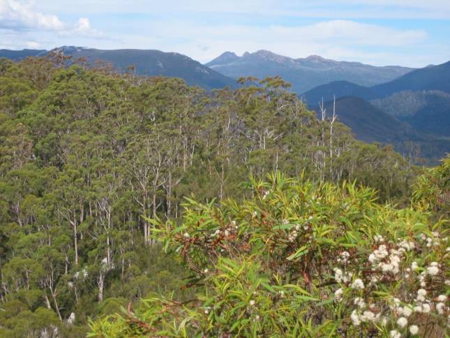 <i>Donaghys-Hill-Lookout</i>