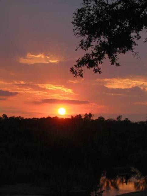 <i>Sonnenuntergang  im Kruger</i>