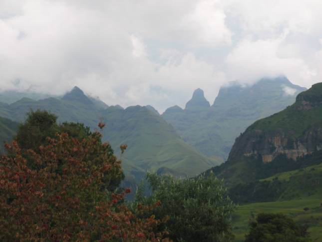 <i>Cathedral Peak</i>