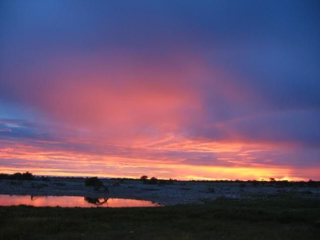 <b>Abendstimmung in Etosha</b>